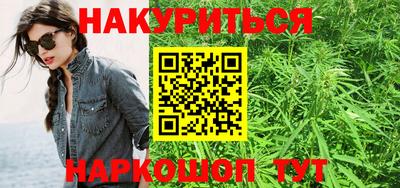 стаф Новокубанск