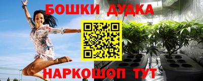 стаф Новокубанск