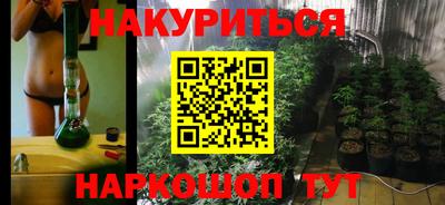 стаф Новокубанск