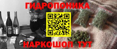 молекула духа Новодвинск