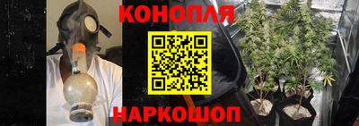 стаф Новокубанск
