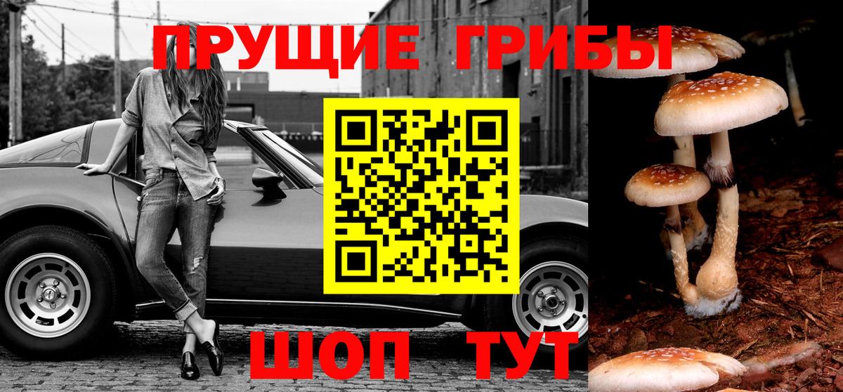 Псилоцибиновые грибы Cubensis  Псилоцибиновые грибы Psilocybine cubensis  Вход с VPN  купить  сайты  Чусовой 